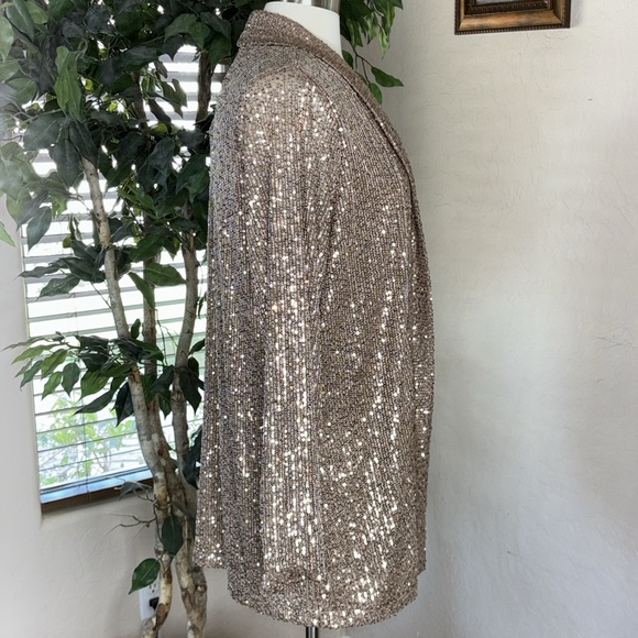 Jingle Belles by Kim Gravel Sequin Mesh Open Front Topper ~ Bronze - Picture 2 of 9